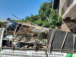 Shed Removal in Great Falls, MT